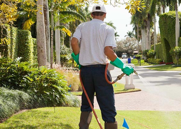 About Downs IL Pest Control